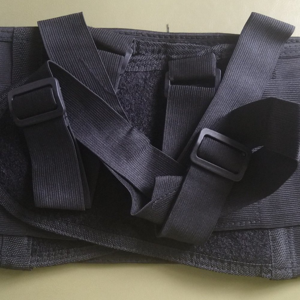 Classic Modern Adjustable Back Support Unit - image 2